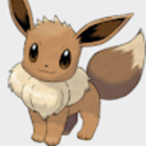 Meet your Posher, Jason & sandy